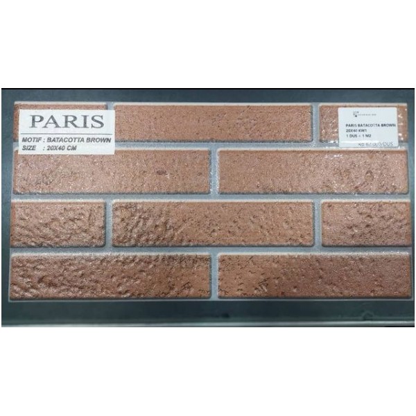 Paris Batacotta Brown 20x40